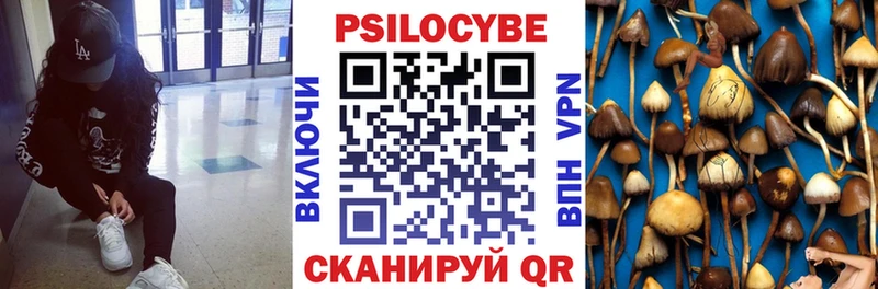 купить наркотики сайты  Кунгур  Галлюциногенные грибы мухоморы 